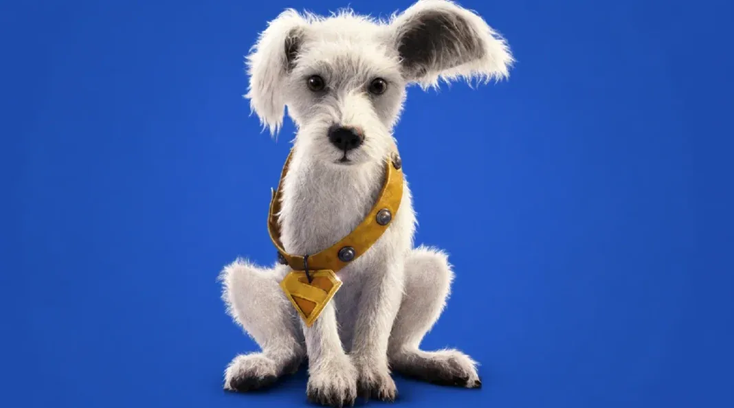 Brinde grátis: Concurso Cinesystem: Cachorro Mais Parecido com Krypto Ganha Combo de Bomboniere Grátis