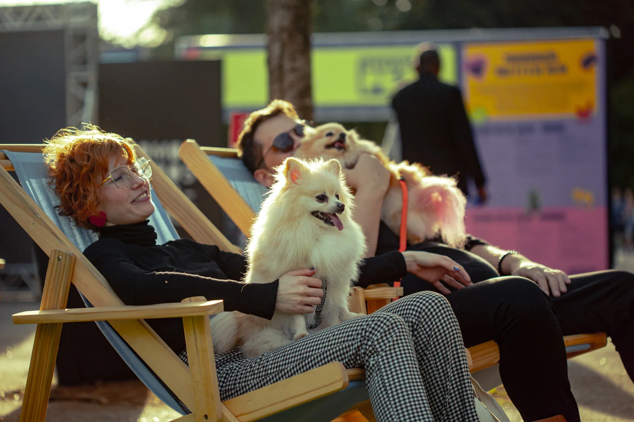Atrações do Festival Pet no Parque Ibirapuera em São Paulo
