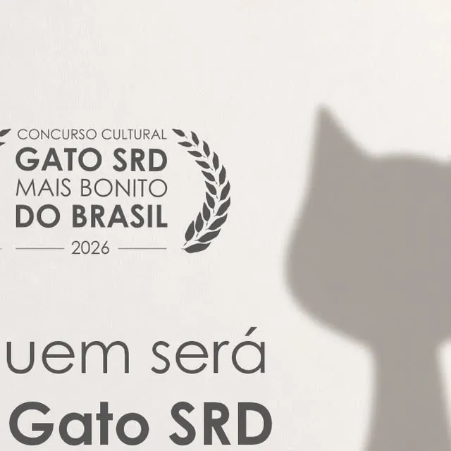 Arte do Concurso Cultural Gato SRD Mais Bonito do Brasil 2026, 5ª edição da Woolie, com a pergunta "Quem será o Gato SRD Mais Bonito do Brasil?"